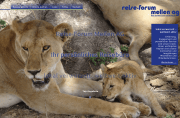 reiseforum_01