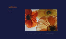 Screenshot der Website