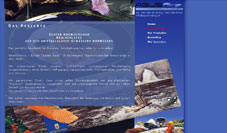 Screenshot der Website
