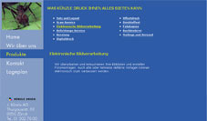 Screenshot der Website