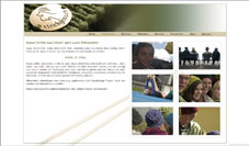 Screenshot der Website